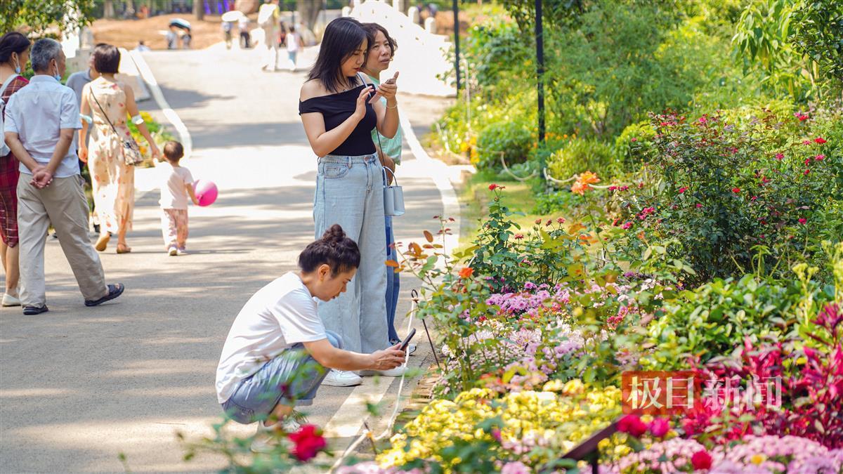 捕鱼下现金注册送分